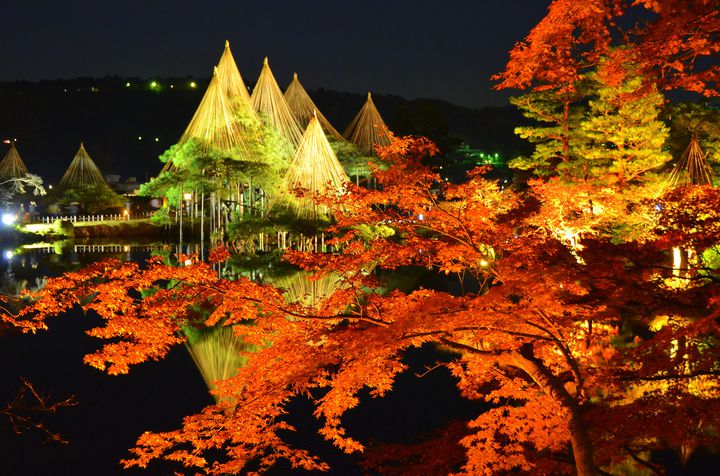 兼六園ライトアップ
