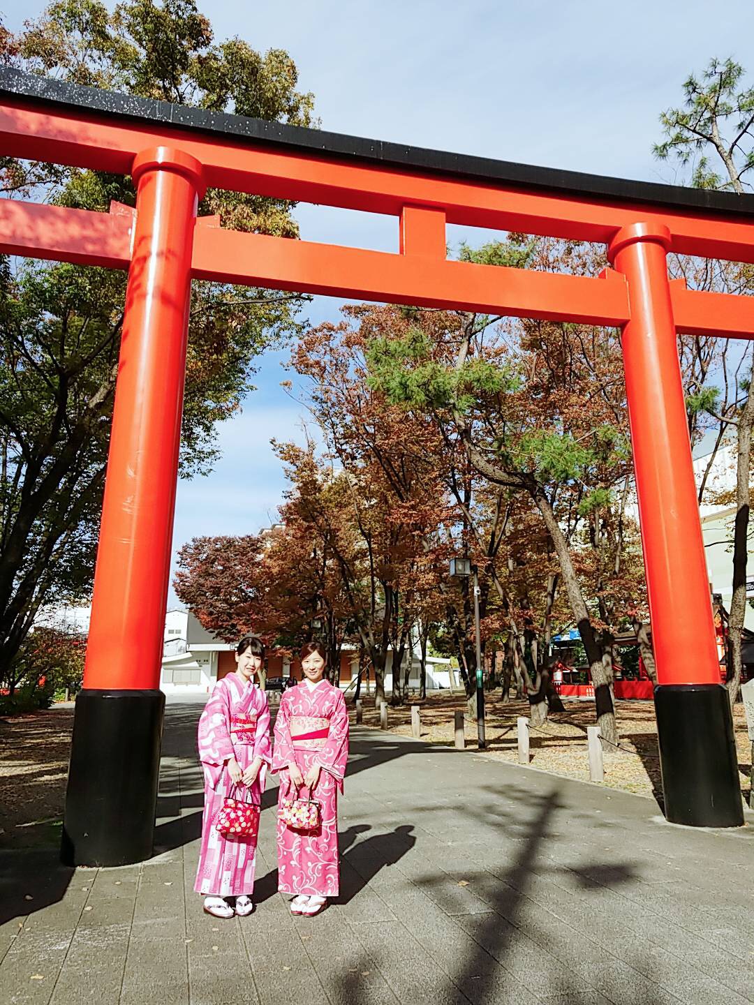 秋限定の御朱印も魅力