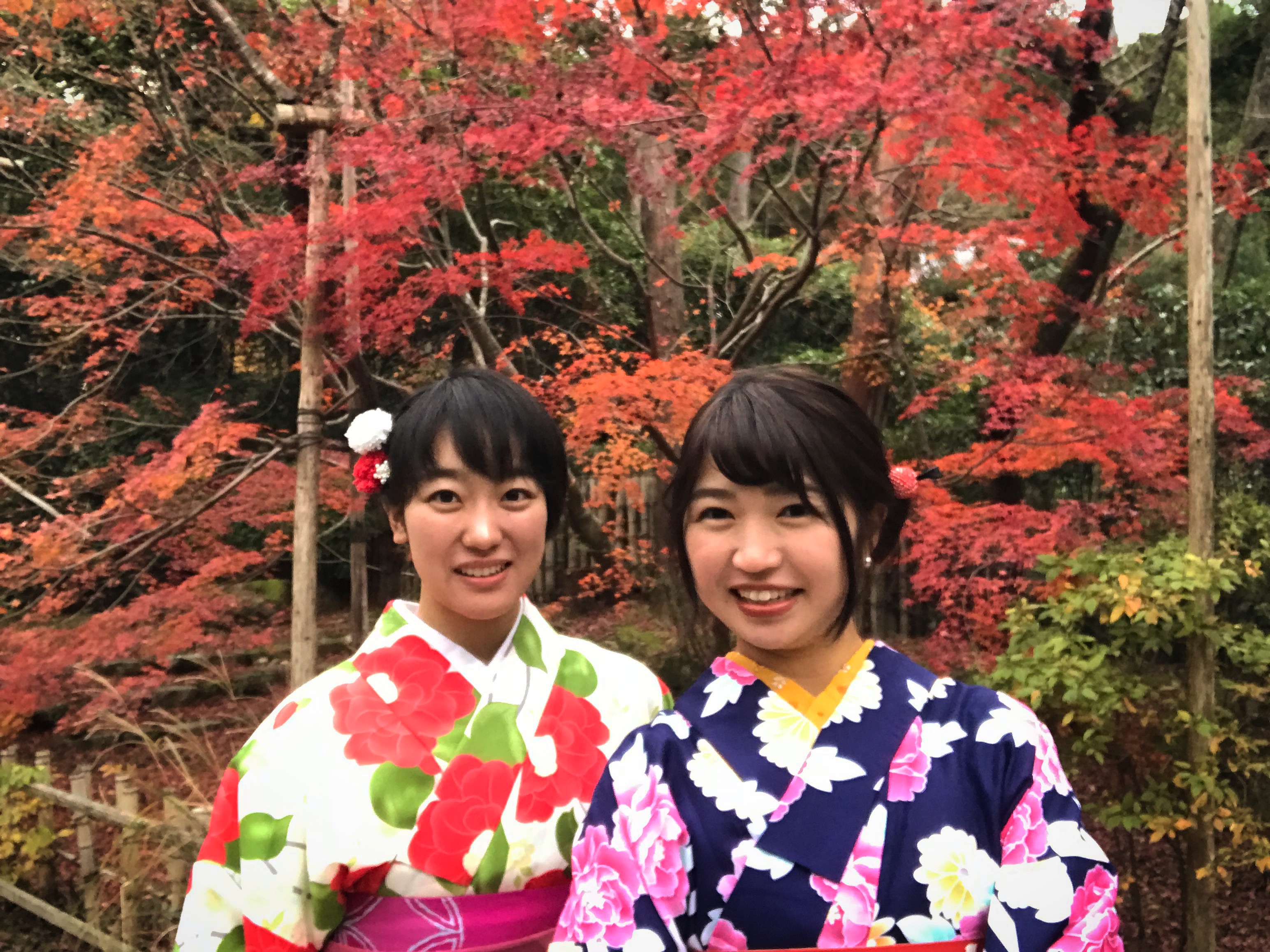 紅葉まだ見えます♪( ´▽｀)