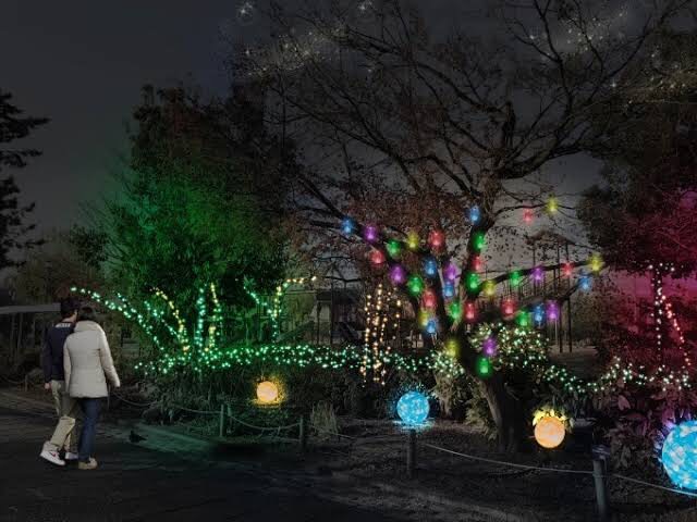 京都のイルミネーション！
