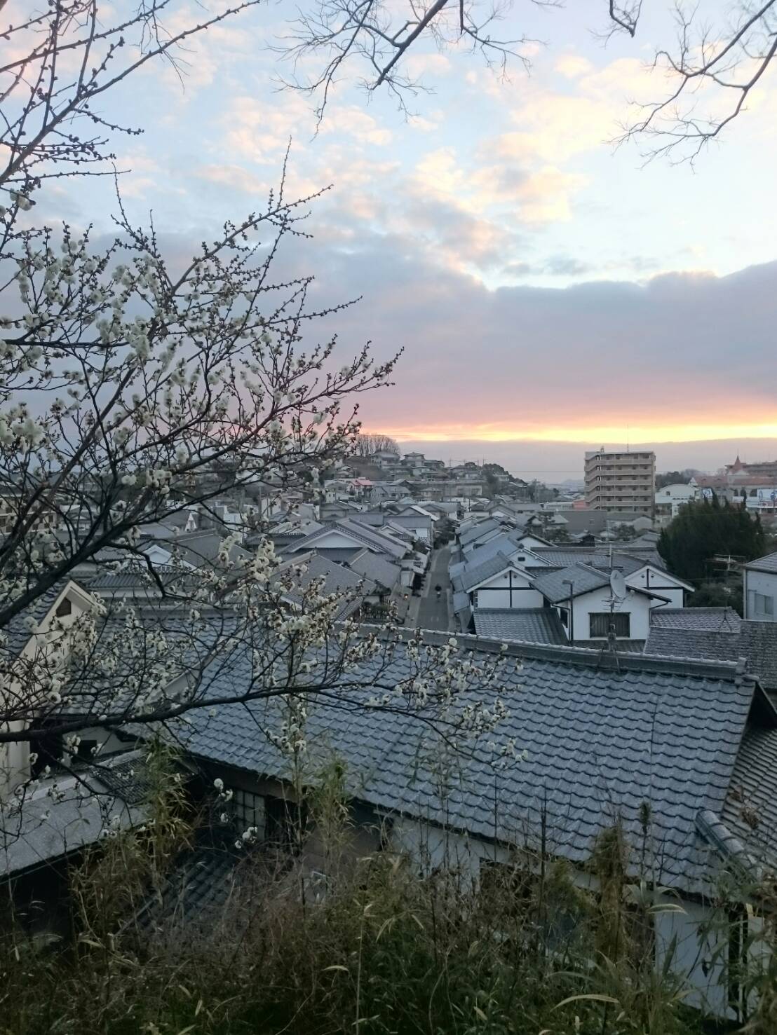 倉敷は初雪♪