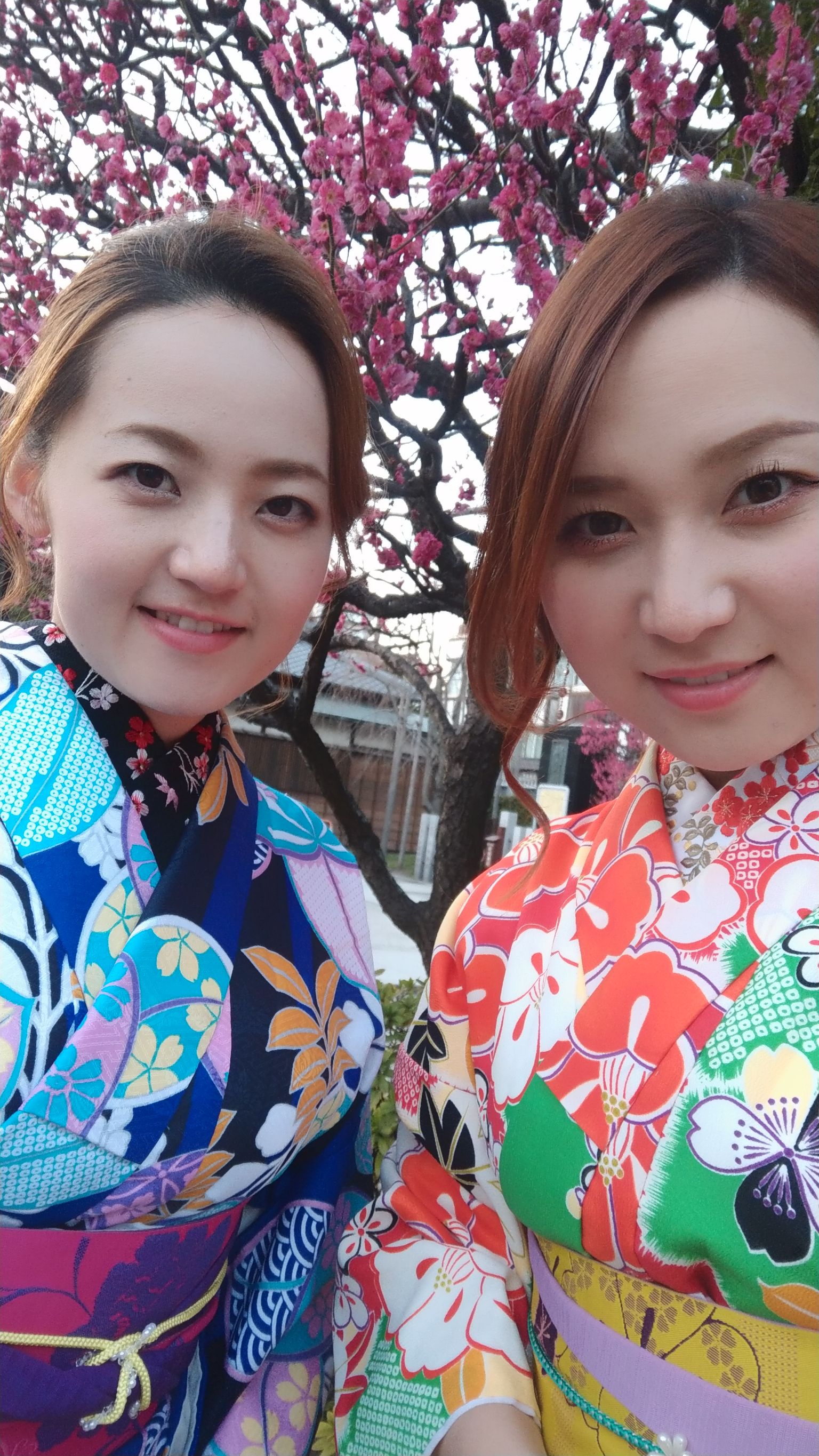 梅が咲き始めました!