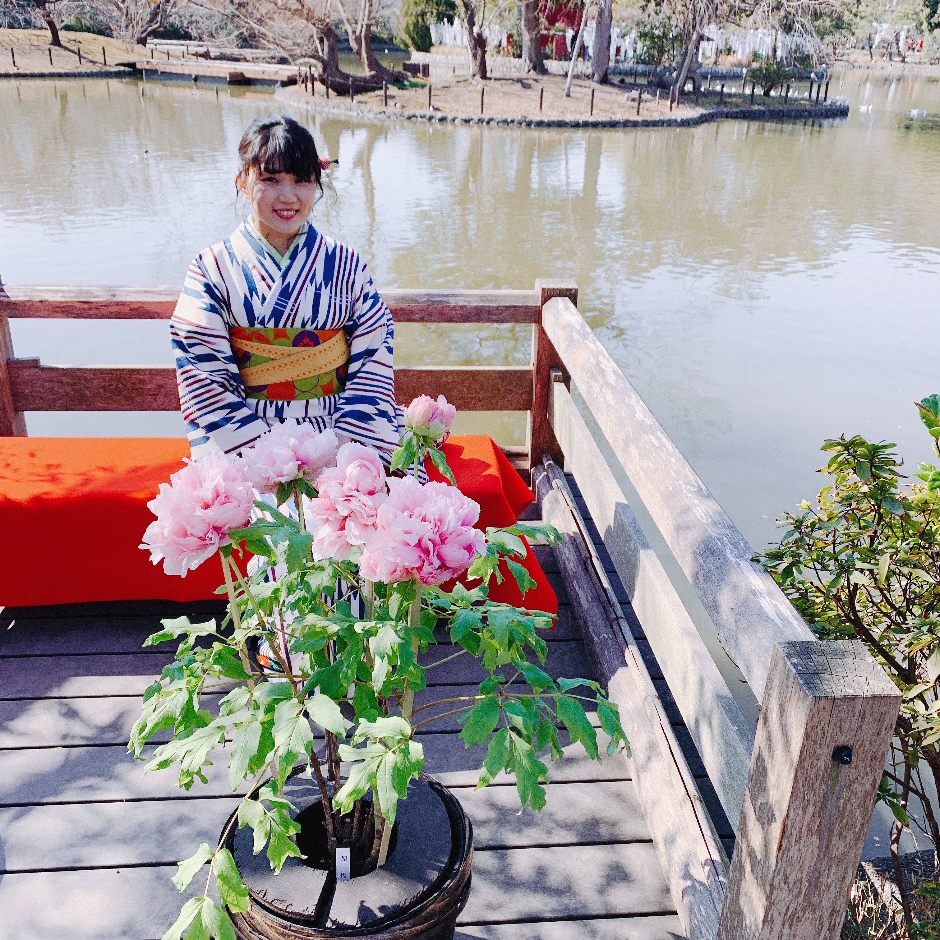 春の花