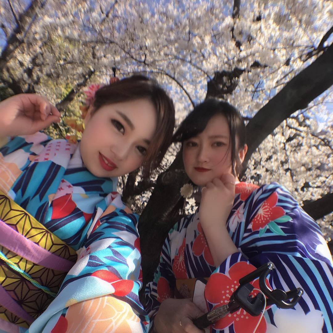 隅田川桜まつりへ行きませんか?