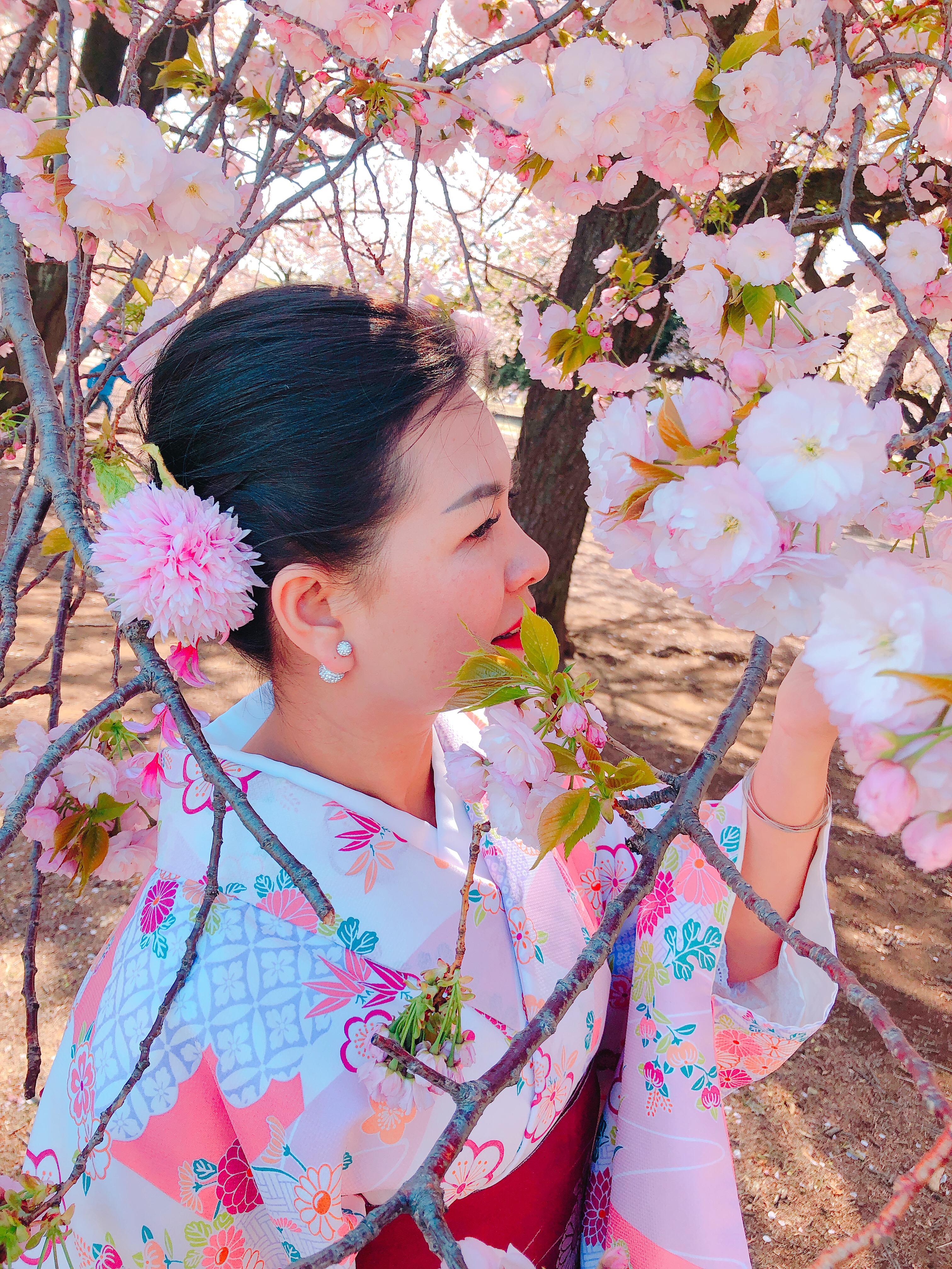 八重桜