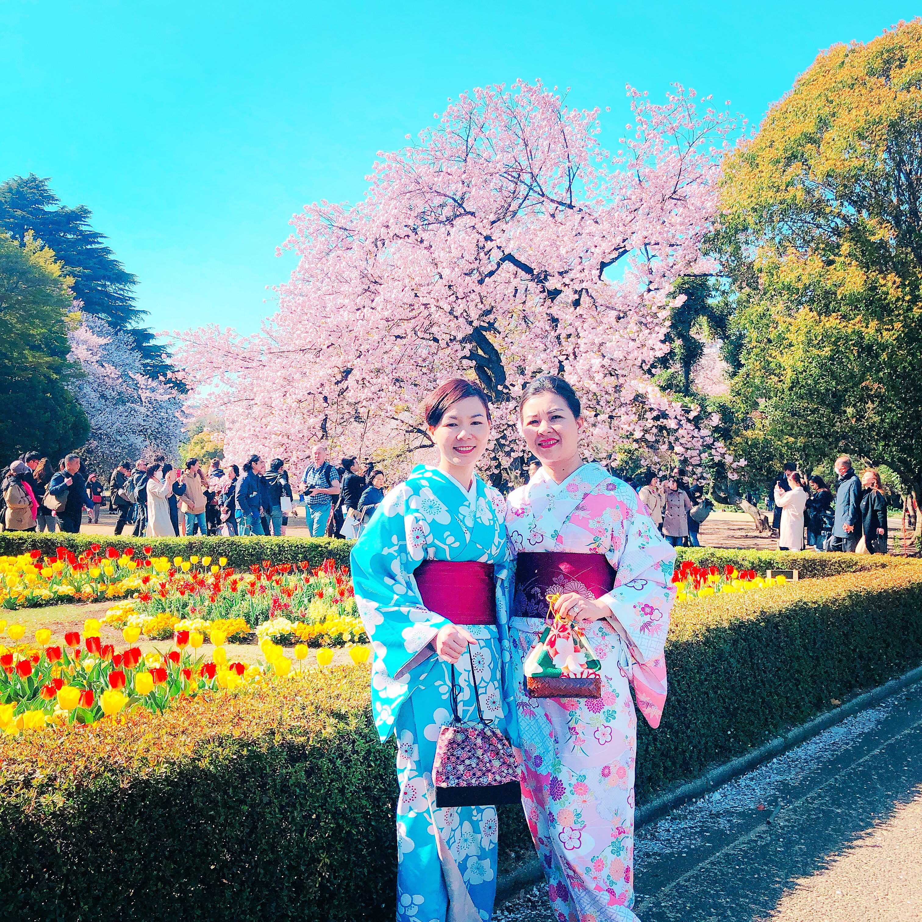 桜を見る会♪