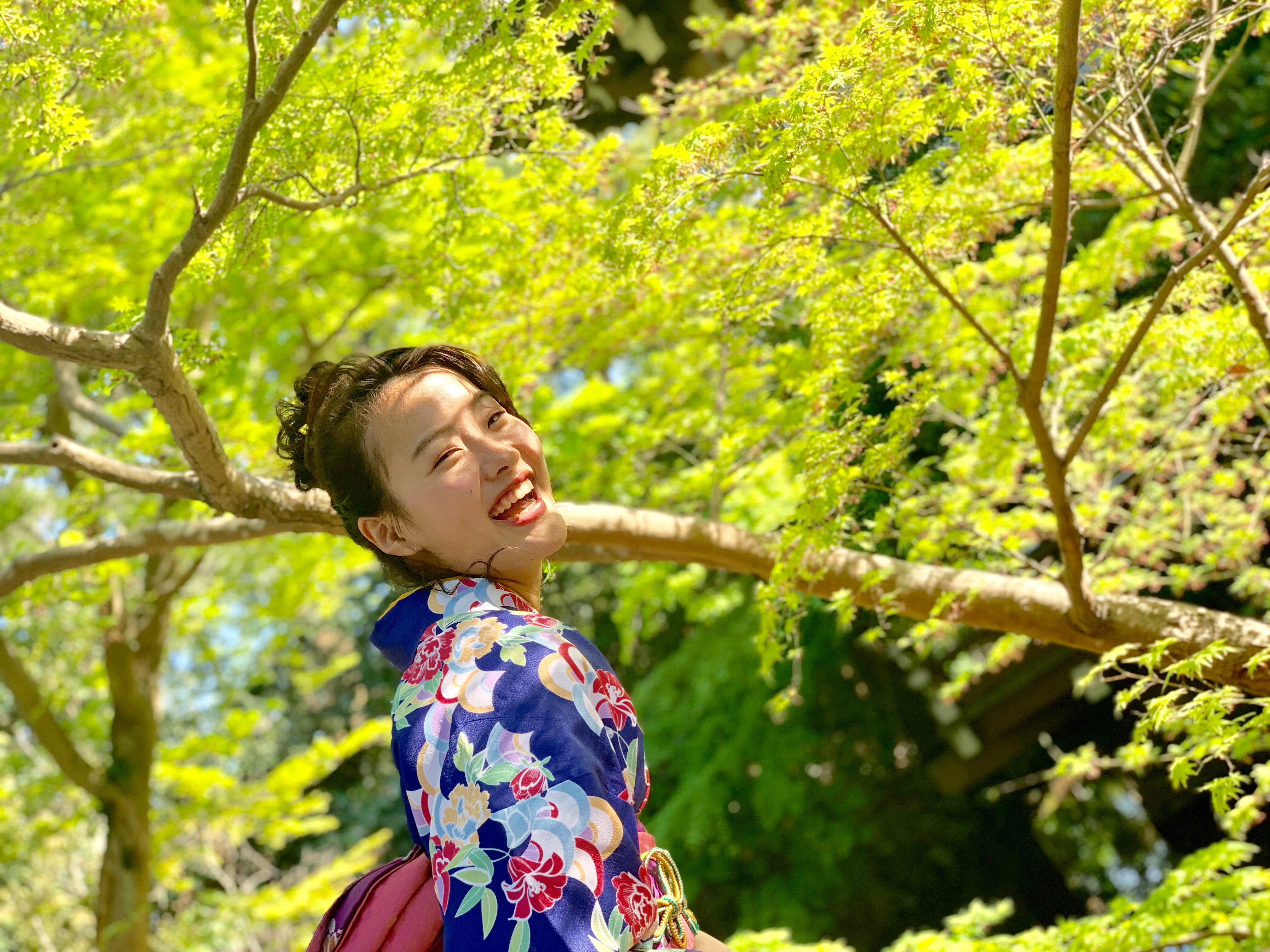 新緑と鎌倉