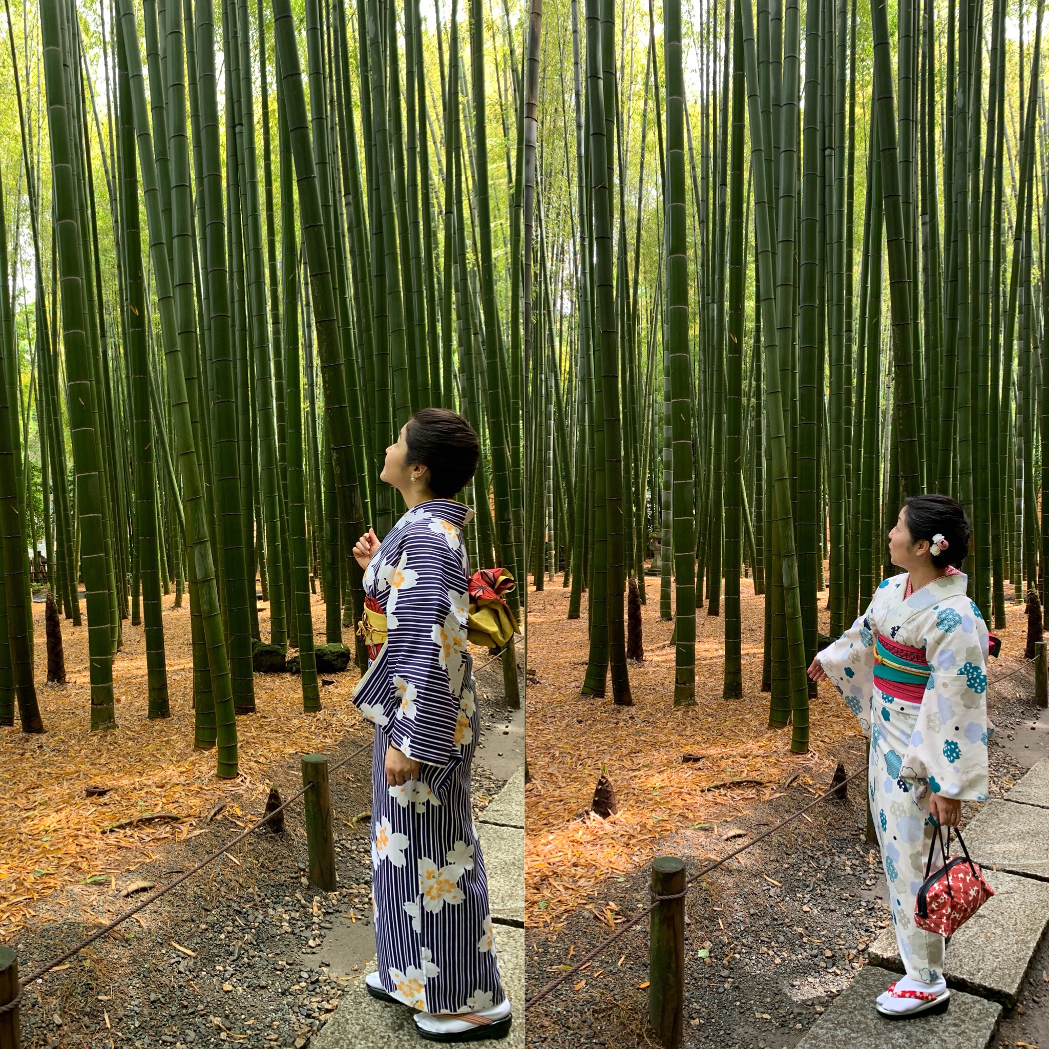 晴天の鎌倉