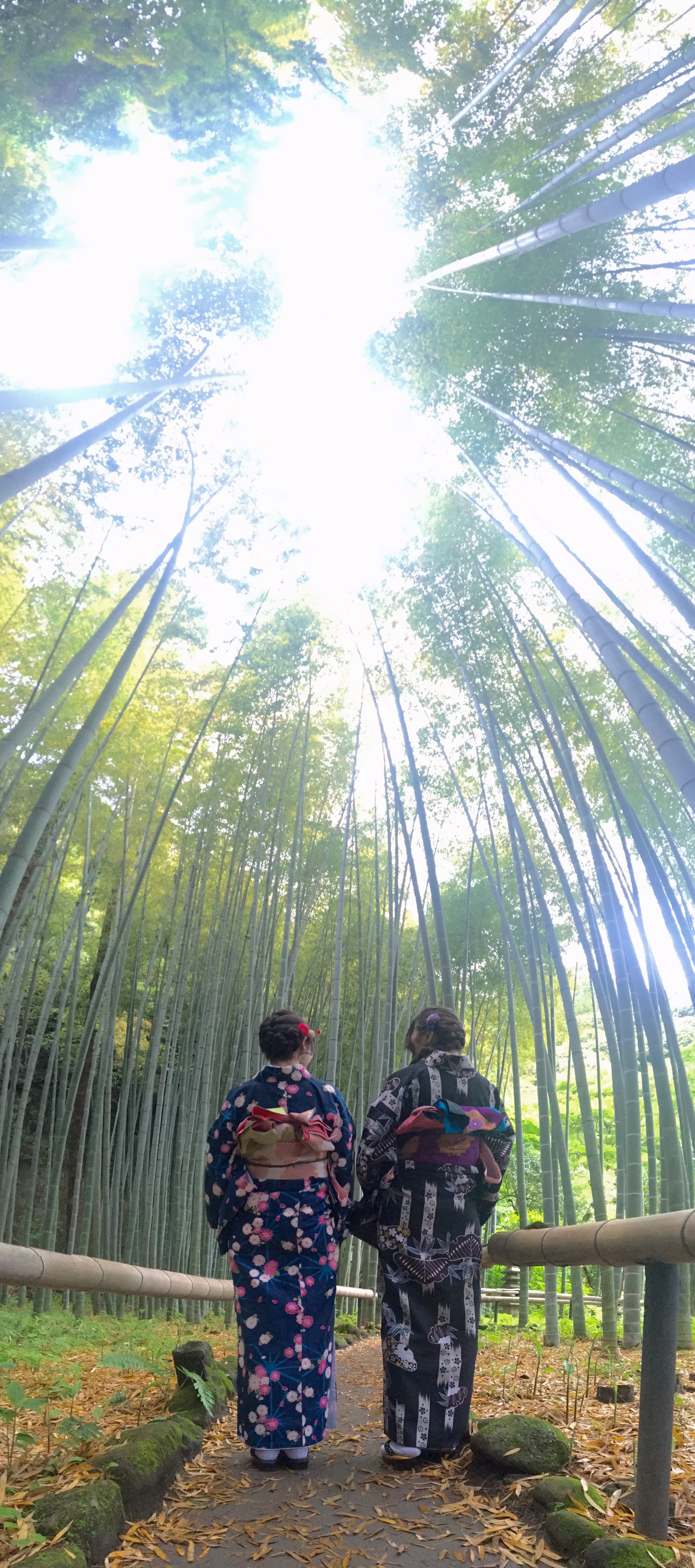 季節の花