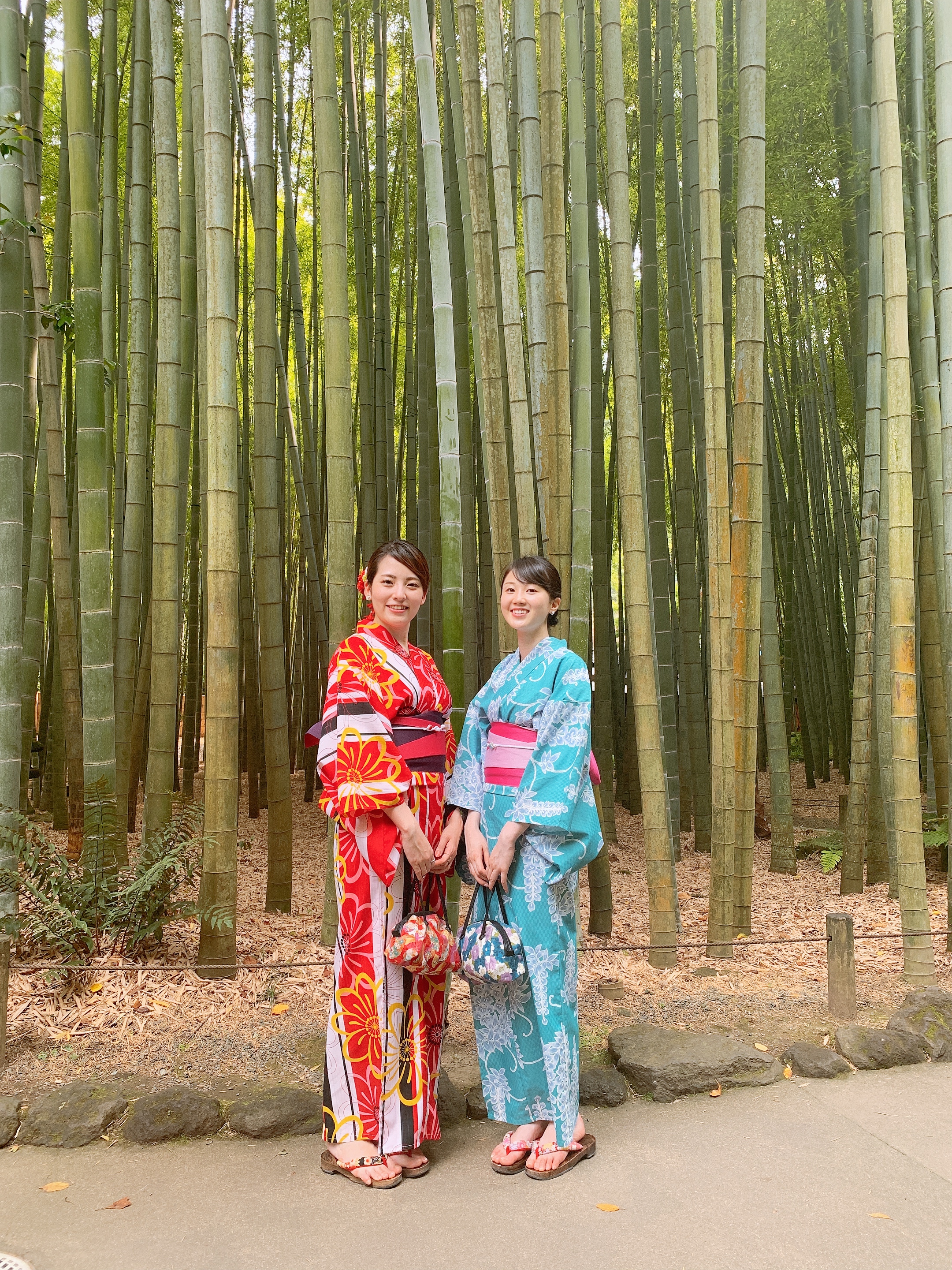 竹林で