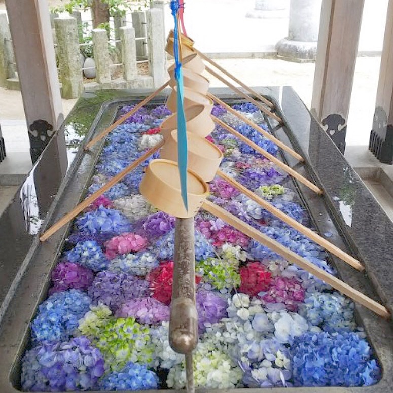 春日神社⛩