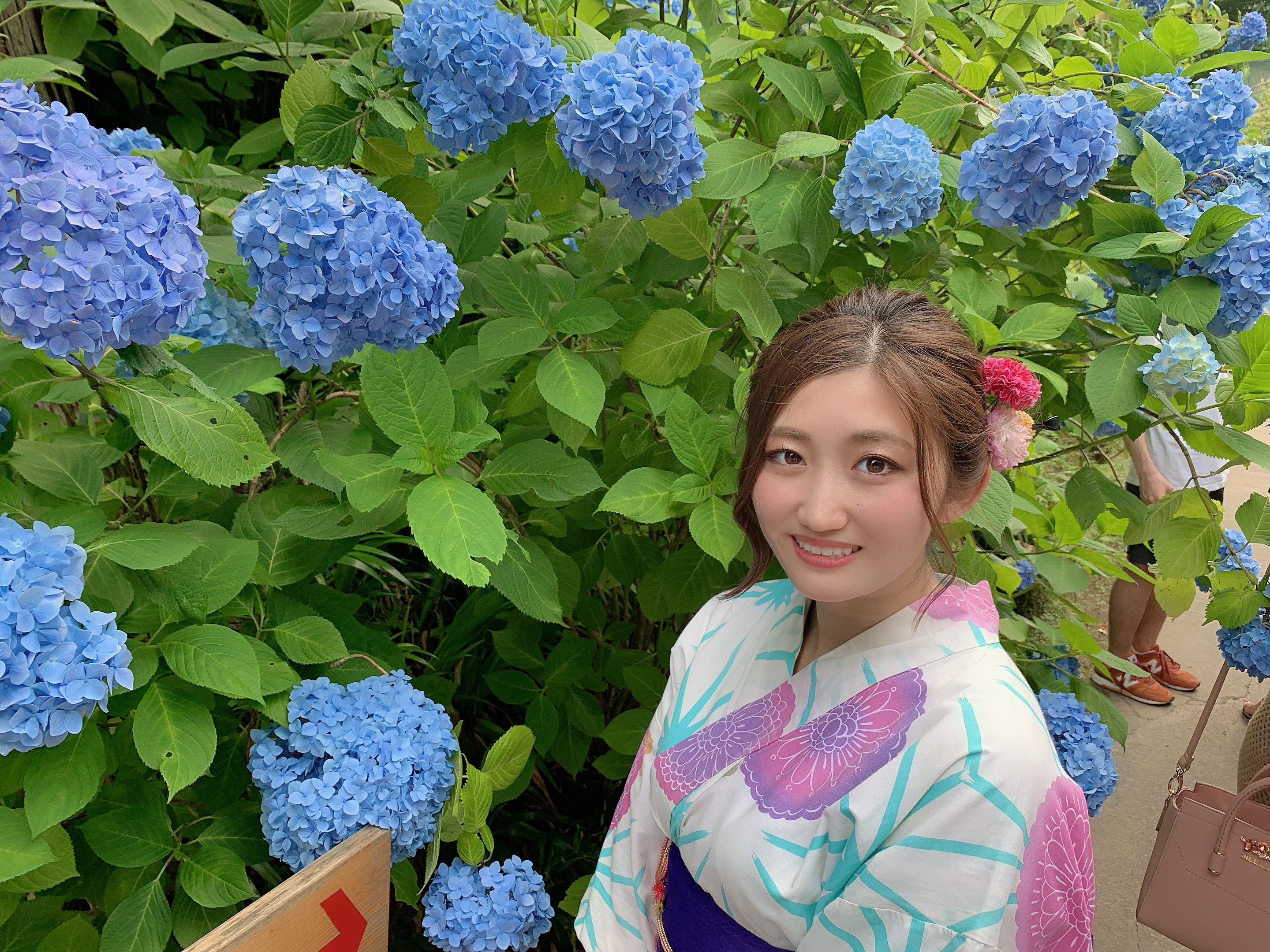 明月院☆2019年