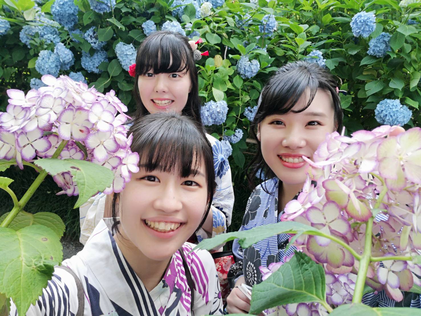 6月終わり