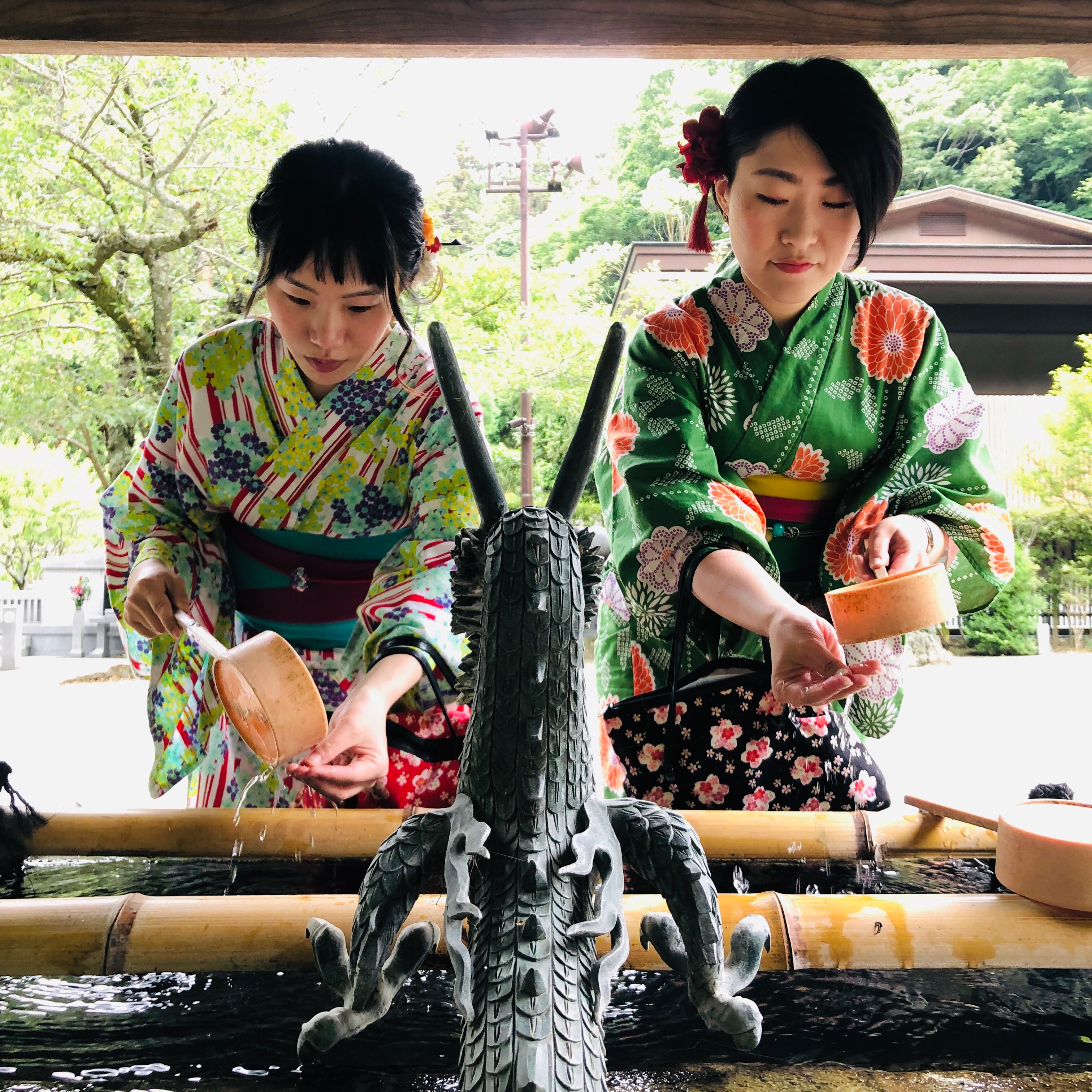 ～初夏の色彩～