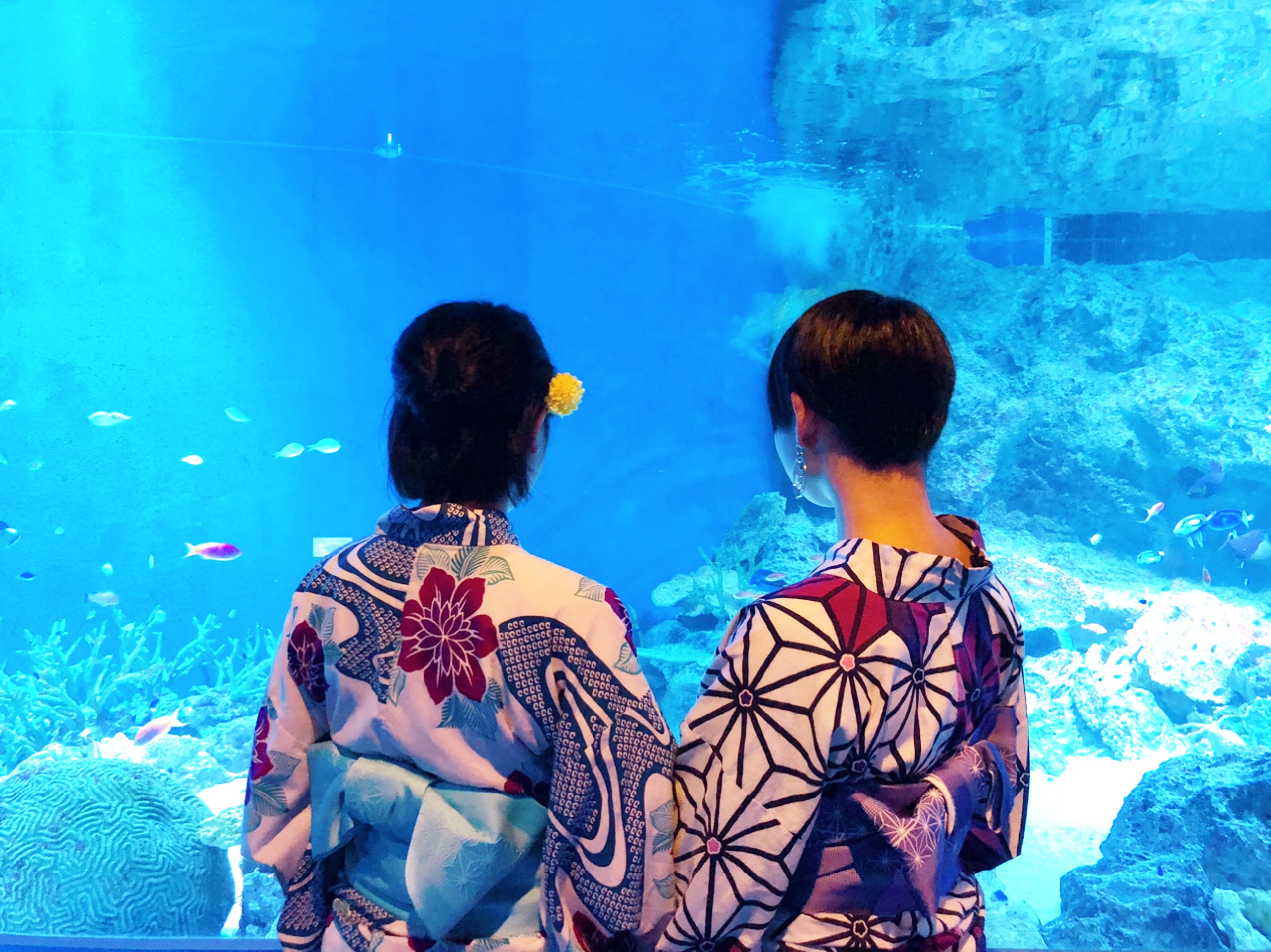 水族館！！！！