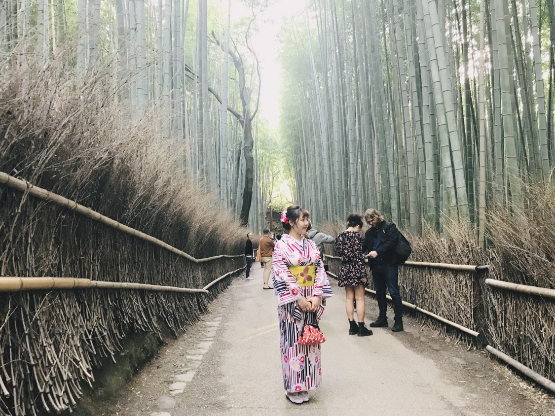 京都観光もおすすめ♬