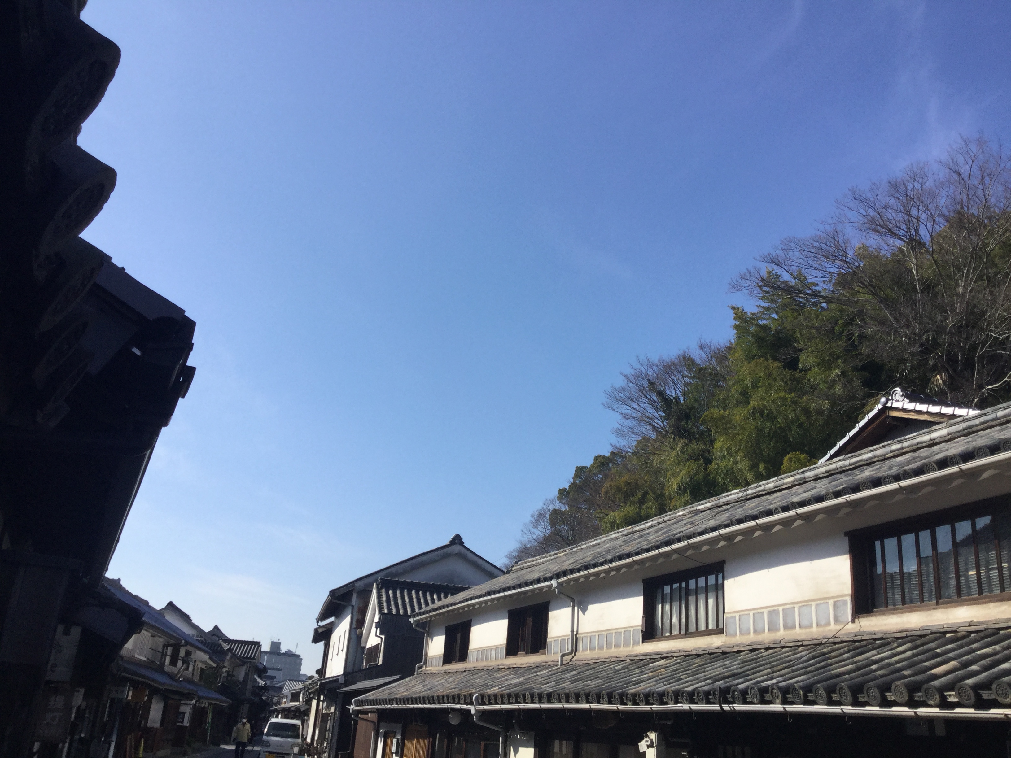 とっても良いお天気です!