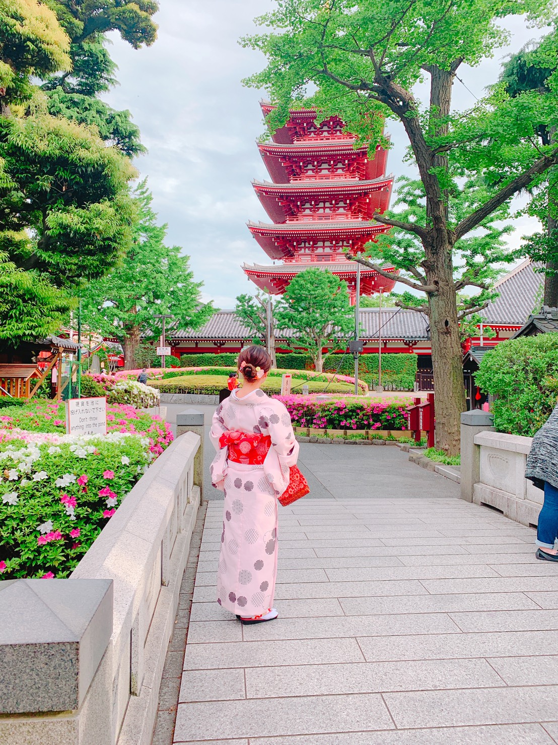 ツツジの花が咲き始めました♡