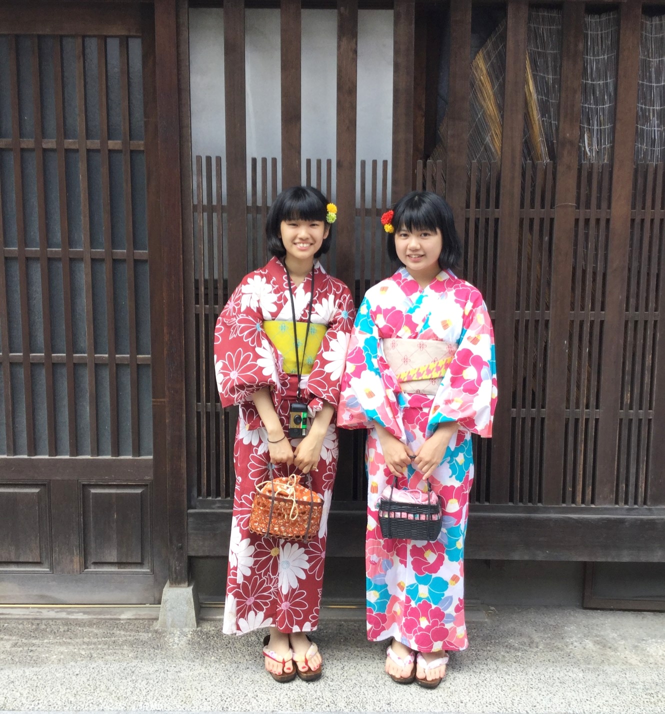 夏っぽく晴れています