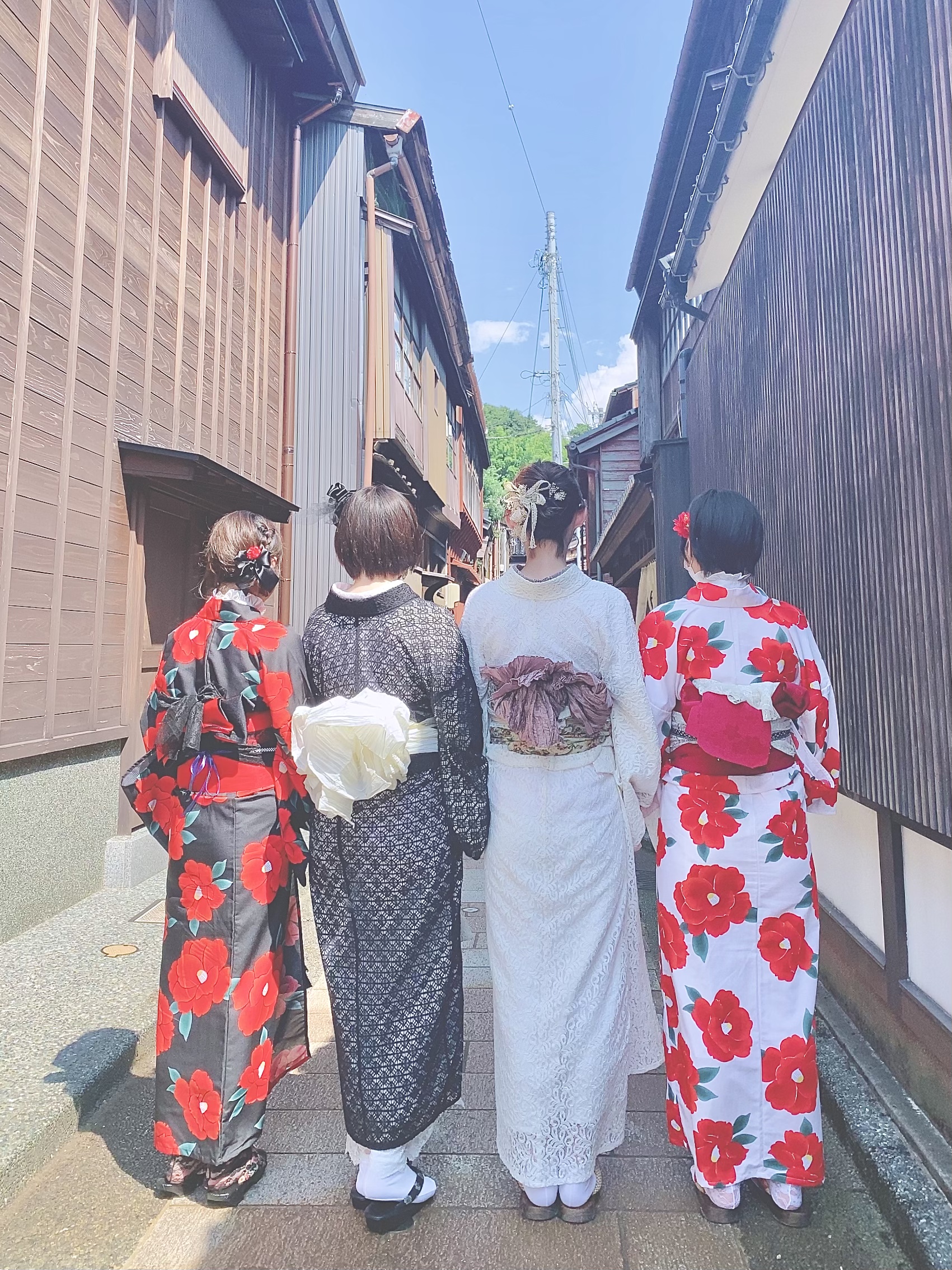 ✨夏✨