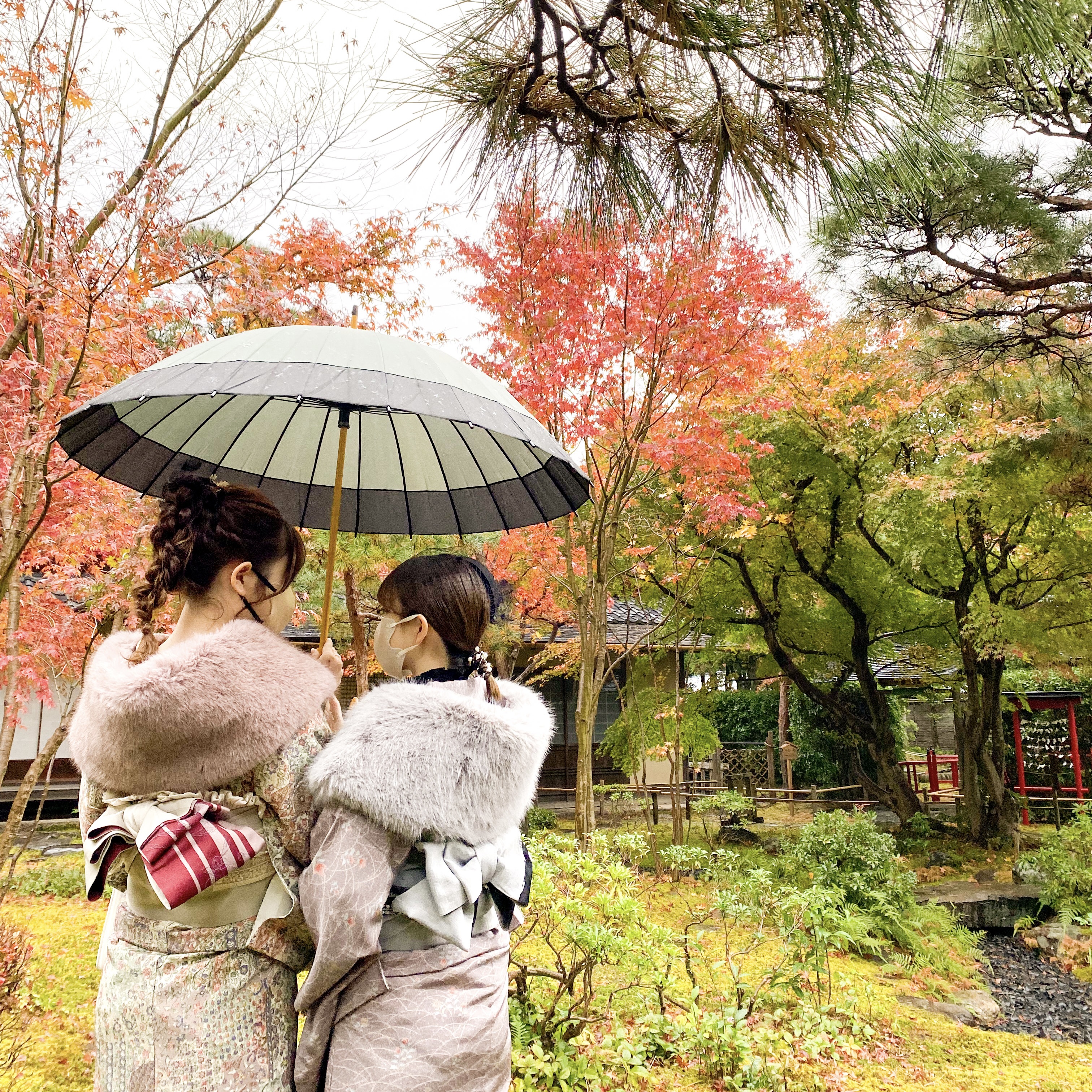 雨の中の紅葉も素敵です⸜(๑•ω•๑)⸝☆。.:＊・゜