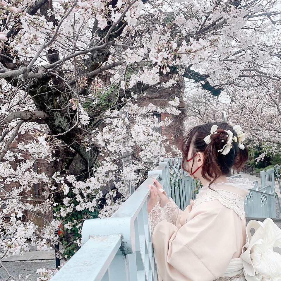 桜満開です☆