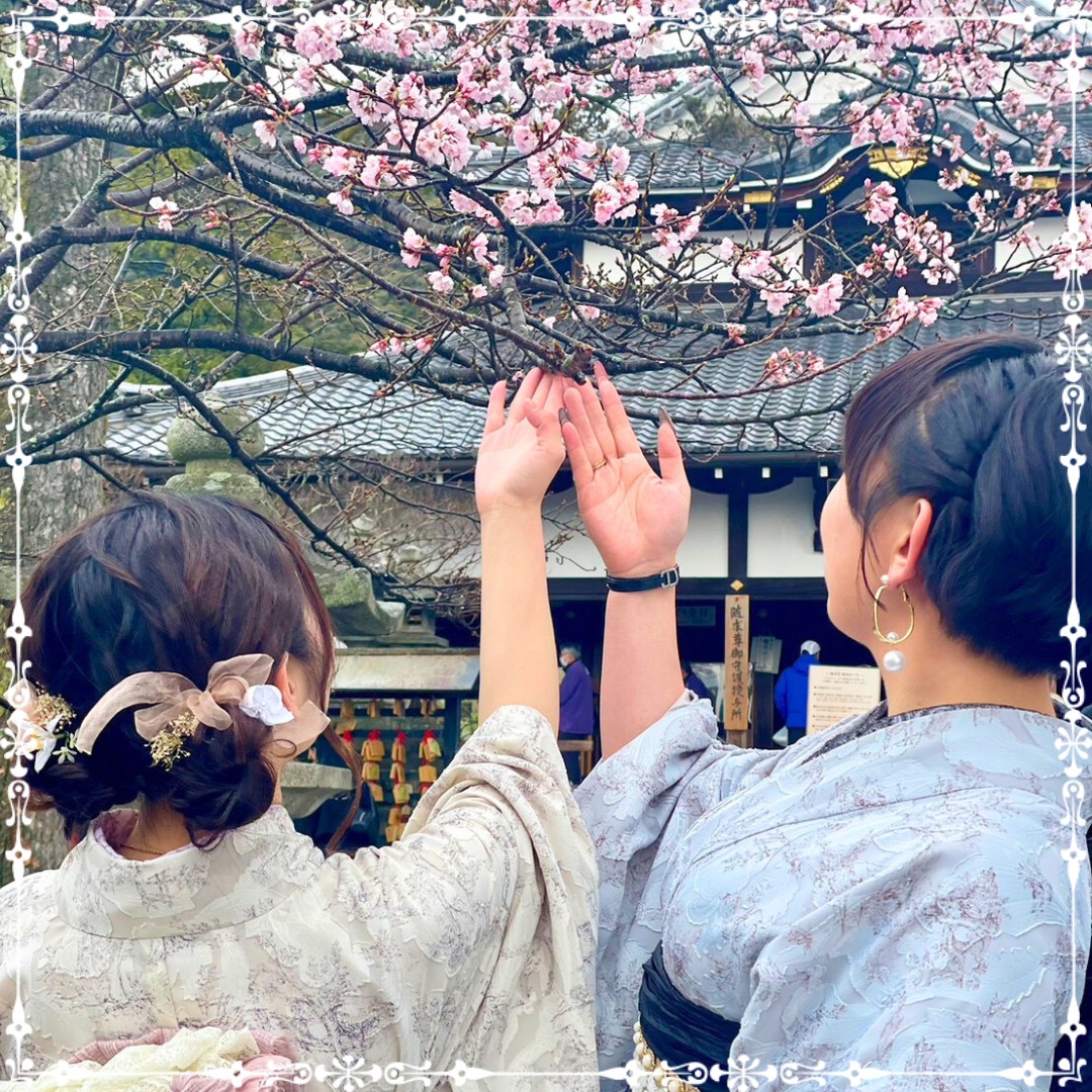 京都 ❀ 太秦映画村 夜桜花吹雪　4/6・4/7